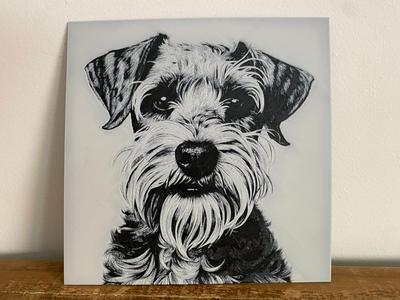 Schnauzer Hueforge
