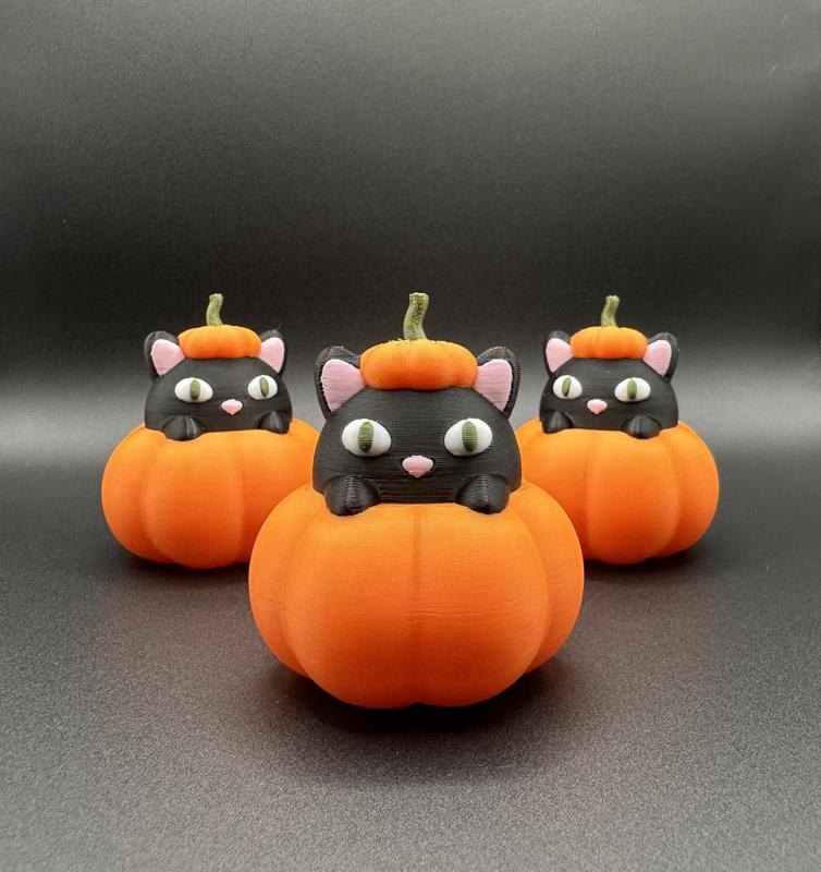 Cat in Pumpkin | Halloween