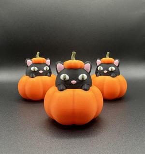 Cat in Pumpkin | Halloween