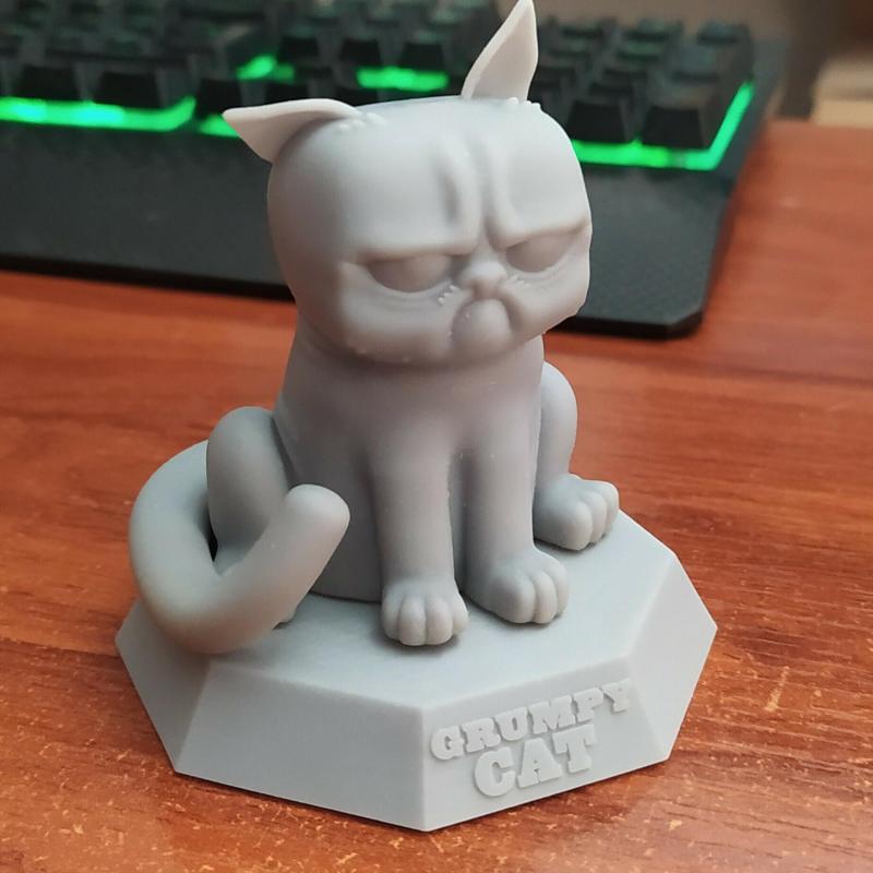 GRUMPY CAT