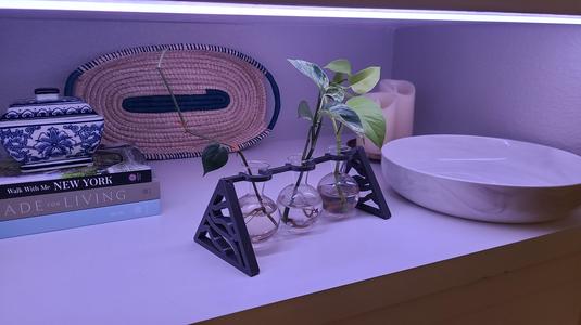 Plant Stand  - Flask Vase - Terrarium