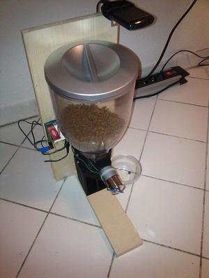 Automated Cat Feeder