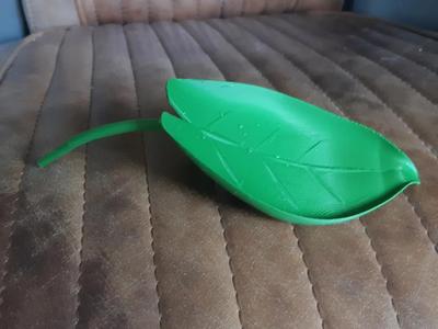 Watering Funnel Leaf 
