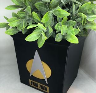 Star Trek Vase