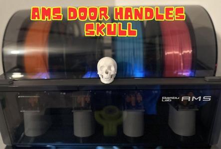 Ams/Top Glass Door Handles Skull