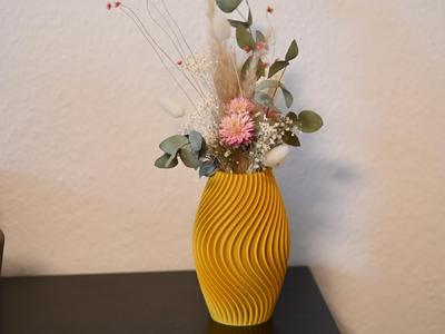 Torqueo Levis - Graceful Curves in Harmony