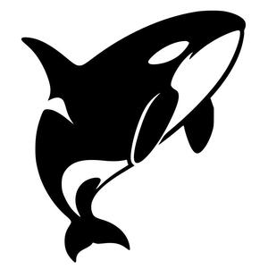 Killer whales (two colours)