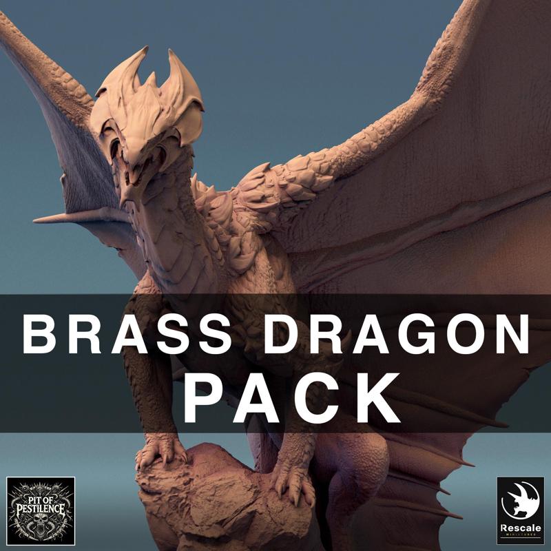 Pack Brass Dragon