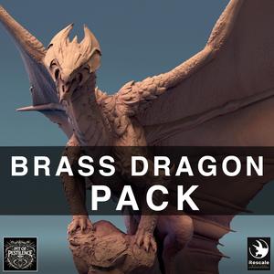 Pack Brass Dragon