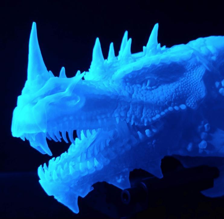 Dragonology II - Head HD