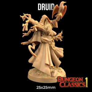 Druid
