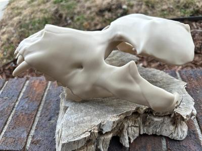 New Wolf Skull Mask