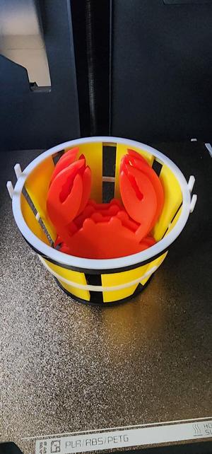 Crab Coaster 