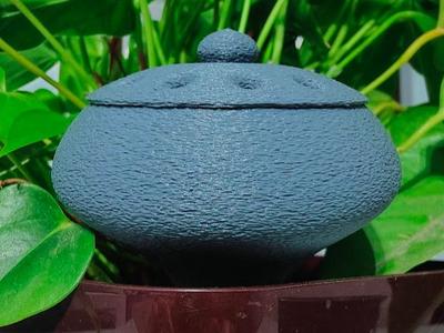 Plant watering 