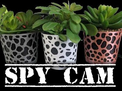 Planter spy cam