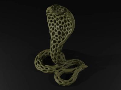 Cobra Snake Voronoi   