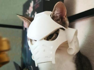 Cat Helmet Space Marine