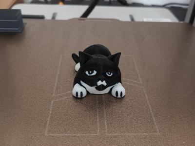 cat flexible keyring fidget 