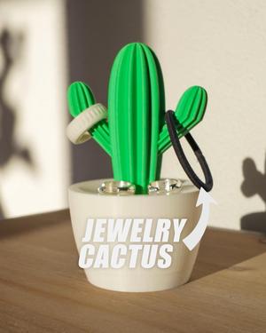 Jewelry Cactus - Jewelry Box