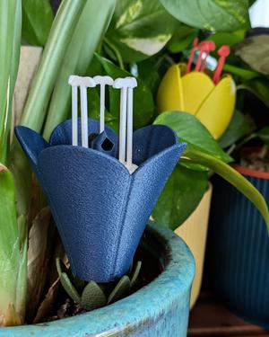 GLORY self-watering insert