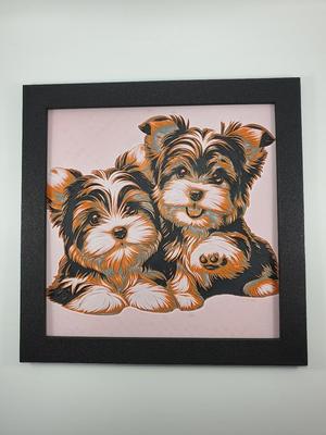 Yorkshire Terrier Biewer Puppy
