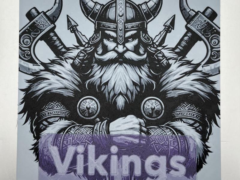 Minnesota Viking Hueforge