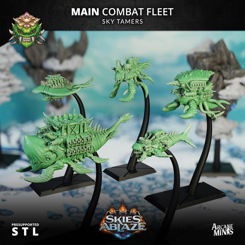 Sky Tamers Main Combat Fleet