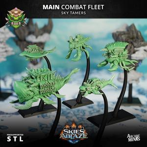 Sky Tamers Main Combat Fleet
