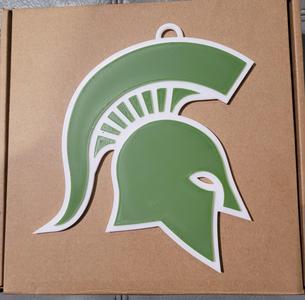 MICHIGAN STATE 3D Logo 180mm series