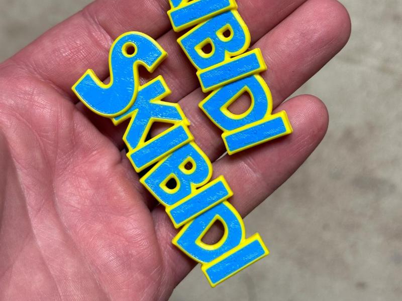 SKIBIDI Keychain - Happy Printing!