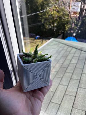 Modern Planter