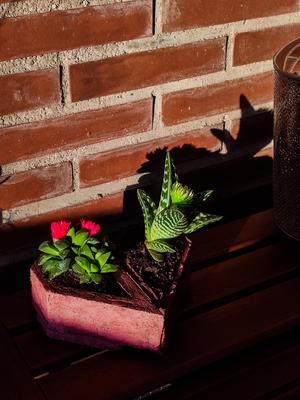 Heart planters | Cement mold