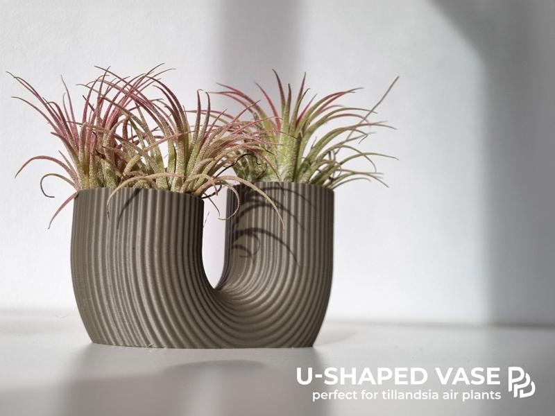 Modern U-Shaped Vase for Tillandsia Air Plant