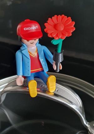 Playmobil oder Topf Pflanzen