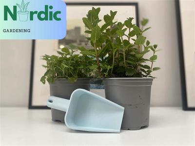 Gardening shovel