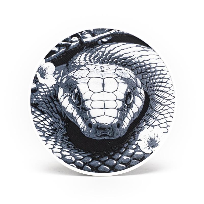 Snake Coasters