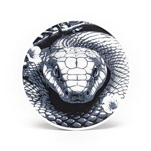 Snake Coasters