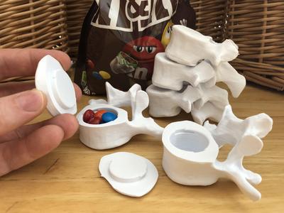 Vertebrae with Secret Compartments