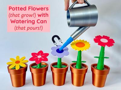 Potted Flowers with Watering Can