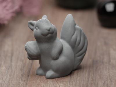 Cute happy Squirrel with Nut