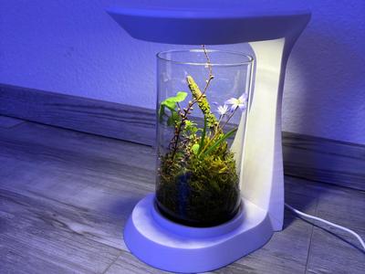 BotanicaSphere / Wabi Kusa 