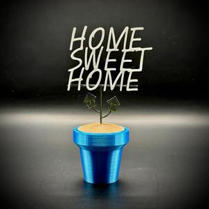 Home Sweet Home Pot Plant   