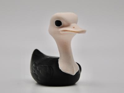 Ostrich Duck