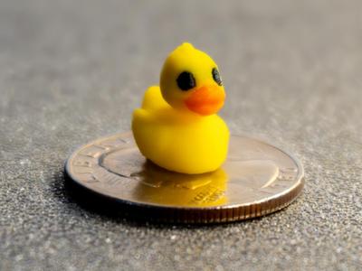 Worlds Smallest Rubber Duck