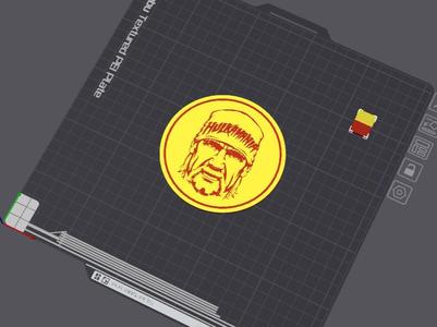 Hulk Hogan Coaster