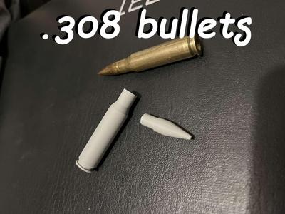 .308 bullet cartridges ammo