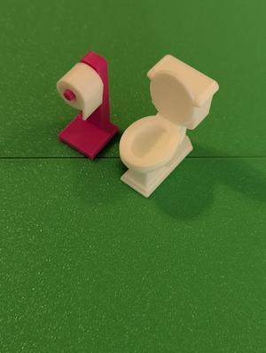 Toilet Paper and Holder