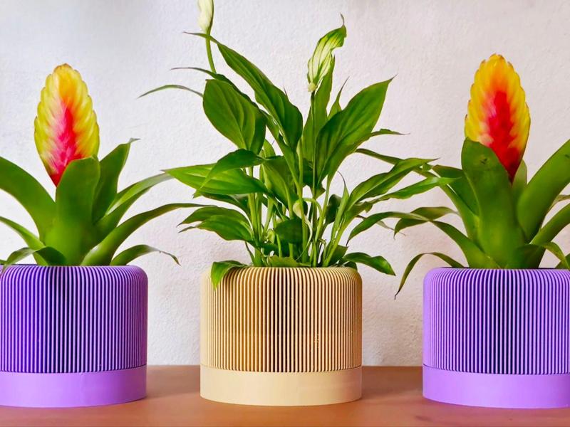Modern Ribbed Vase _ Removable Plant Plate 