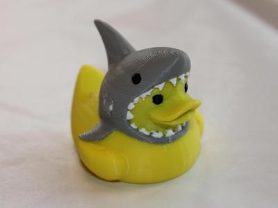 Shark Duck