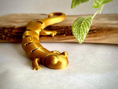 Flexi Salamander